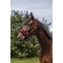 Equithéme päitsed 3D Mesh - Veinipunane