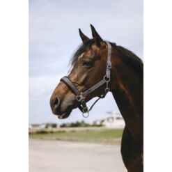 Equithéme päitsed Jacquard - Hall