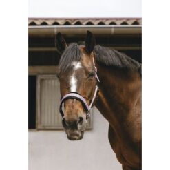 Equithéme päitsed Jacquard - Roosa