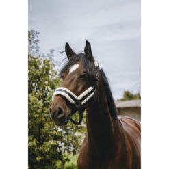 Equithéme pehmendustega päitsed Fashion - Must