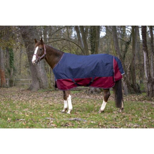 Equithéme talvetekk Tyrex 1200D 450g - Tumesinine / veinipunane