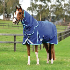 Weatherbeeta eemaldatava kaelaosaga ouetekk Comfitec Ultra Hardi 1800D