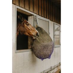 Hippotonic väiksesilmaline heinavõrk - Lilla
