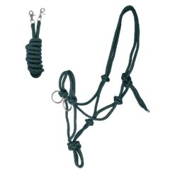 Waldhausen ratsmetega nöörpäitsed - Tumeroheline