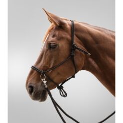 Waldhausen ratsmetega nöörpäitsed - Must