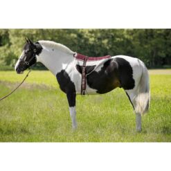 Norton ratsutamispadi Bareback