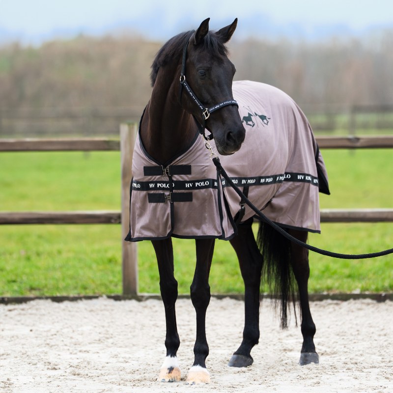 HV Polo eemaldatava kaelaosaga putukatekk Nena - Pruun