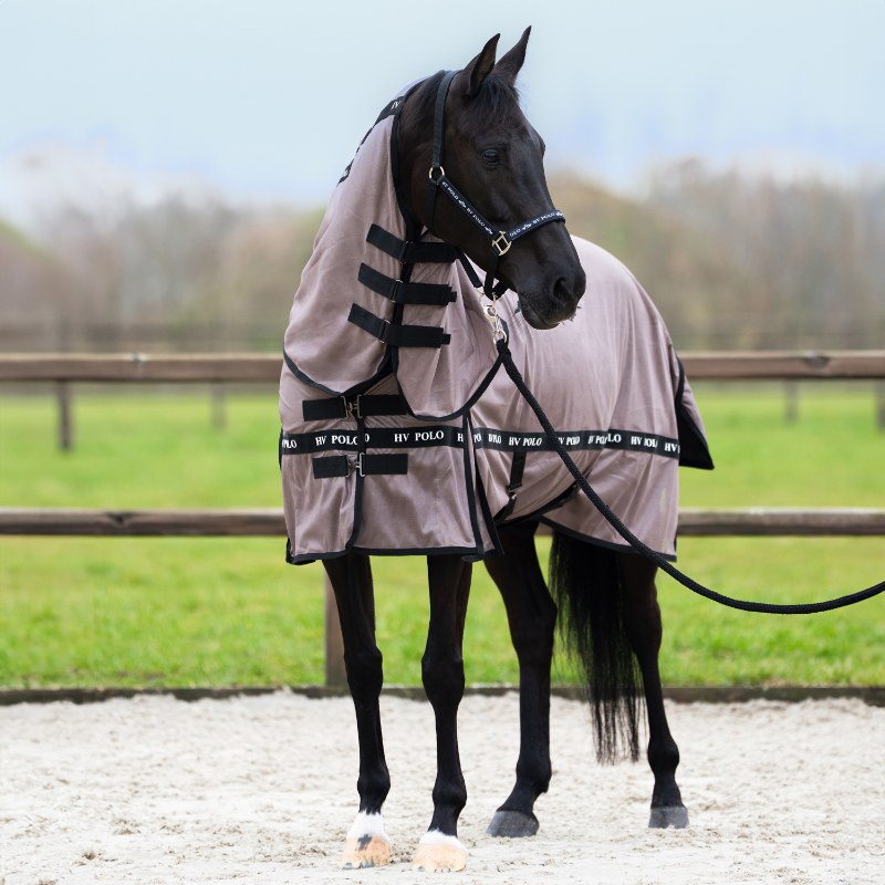 HV Polo eemaldatava kaelaosaga putukatekk Nena - Pruun