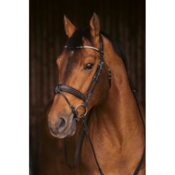 Penelope valjad Daily Strass - Must