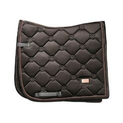 Equestrian Stockholm koolisõiduvaltrap Dark Sky - Tumehall