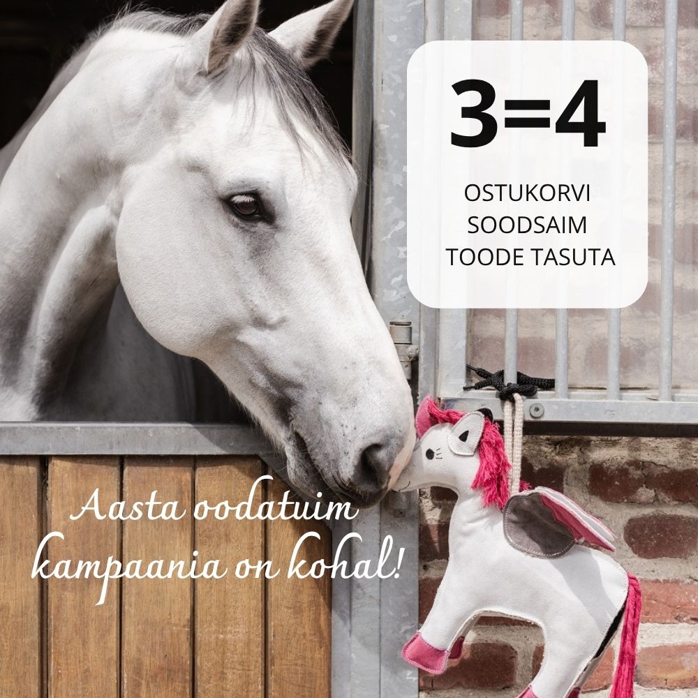 3 on 4 esileht banner