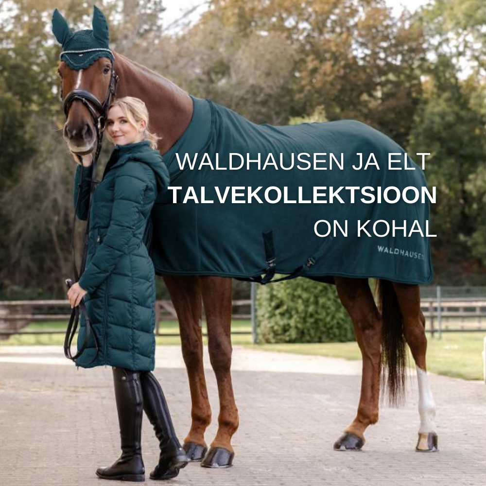 WH ja ELT talv 2025 2026 banner mob