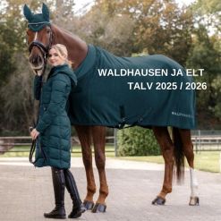 Waldhausen & ELT talv 2025 / 2026