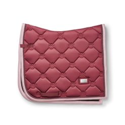 Equestrian Stockholm koolisõiduvaltrap Amber Rose