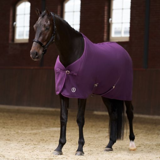 Imperial Riding fliistekk Fundamental - Ploomililla