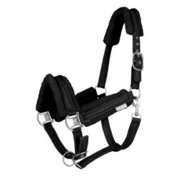 Waldhausen päitsed Sparkle Halter - Must
