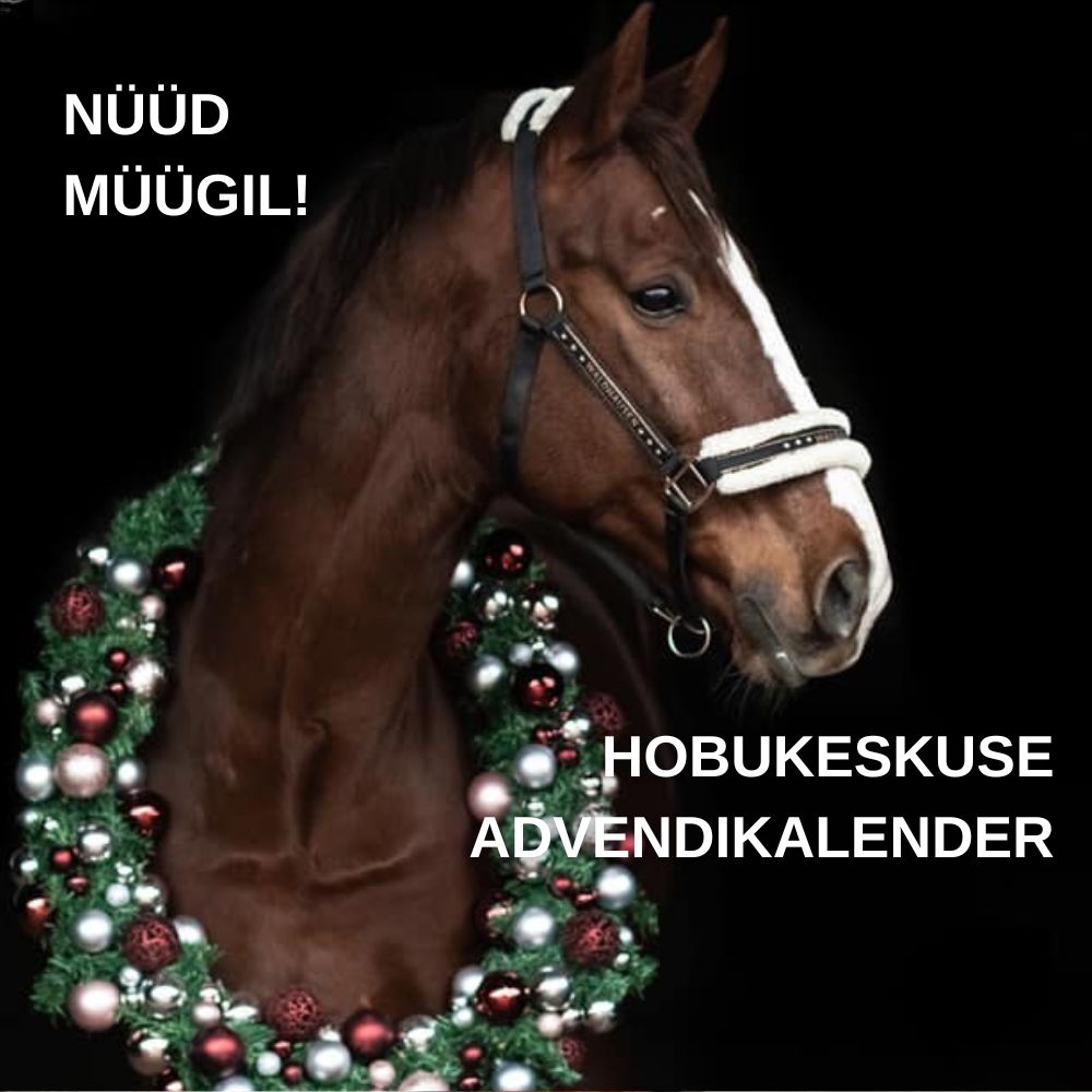 Advendikalender banner