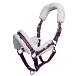 Equestrian Stockholm päitsed ja nöör Orchid Bloom