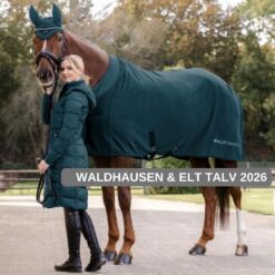 Waldhausen & ELT talv 2026