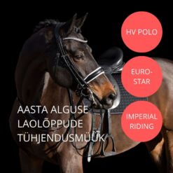 Laolõppude tühjendusmüük