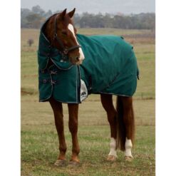 Weatherbeeta eemaldatava kaelaosaga õuetekk Comfitec Plus Dynamic 1200D - Tumeroheline