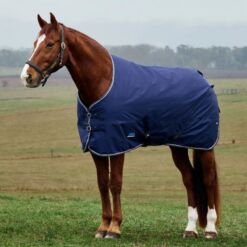 Weatherbeeta vihmatekk Comfitec Tyro 600D 50g - Tumesinine