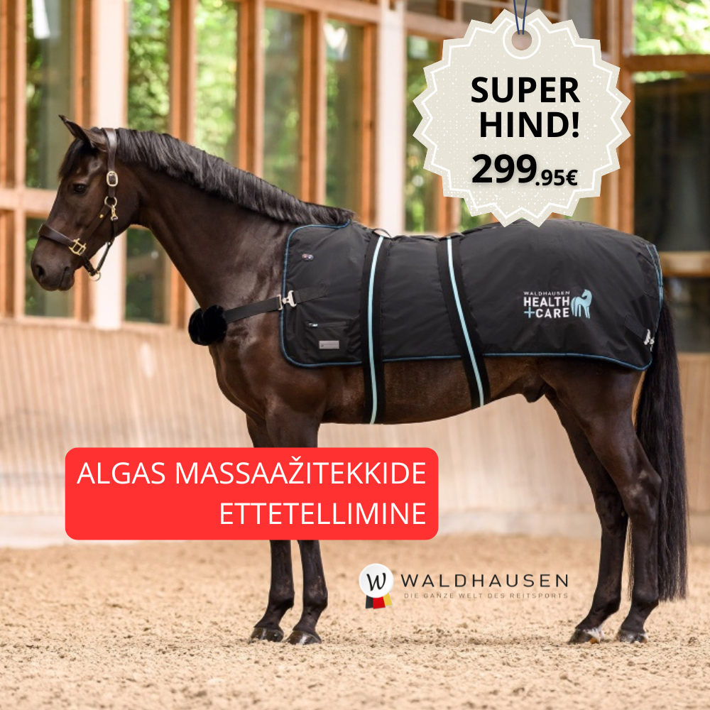 WH massaazitekk banner