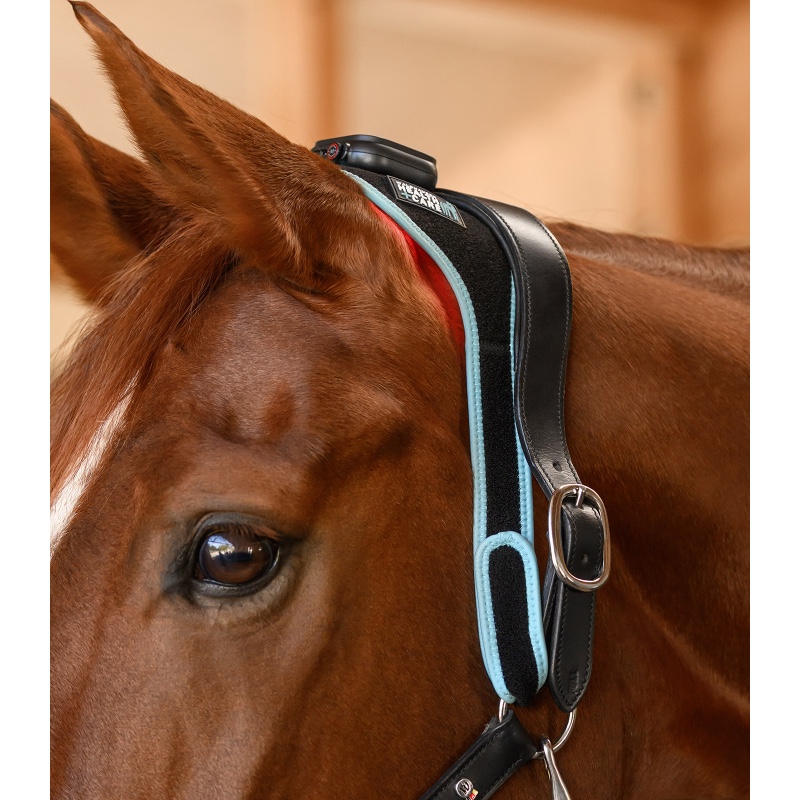 Waldhausen Health + Care infrapuna FlexPad