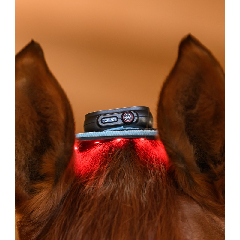 Waldhausen Health + Care infrapuna FlexPad