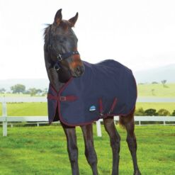 Weatherbeeta varsa õuetekk 1200D 220g - Tumesinine