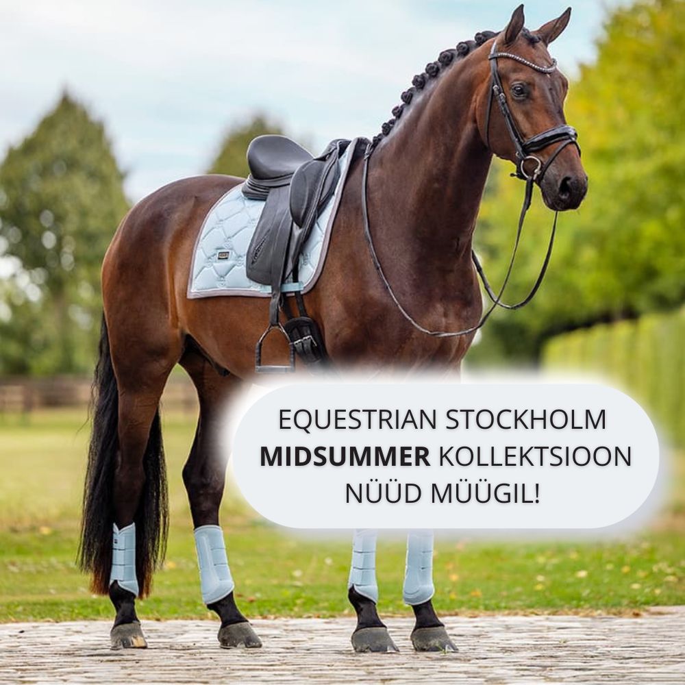 EQS banner Midsummer-2