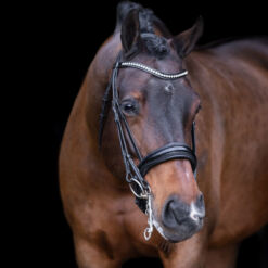 Imperial Riding kangvaljad Athena - Must