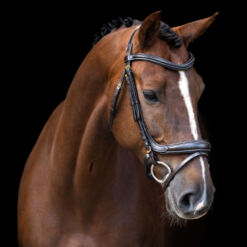 Imperial Riding valjad English - Pruun