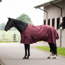 Imperial Riding vihmatekk Basic 600D 0g - Tumepunane