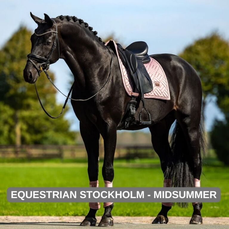 Equestrian Stockholm - Midsummer