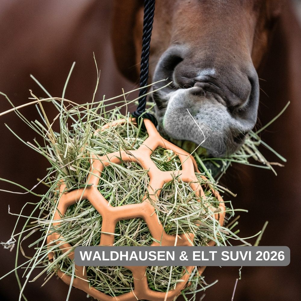 Kollektsioon WH suvi 2026