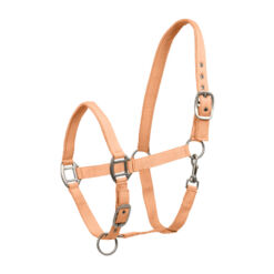 Waldhausen päitsed Satin - Oranž