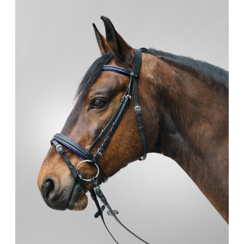 Waldhausen valjad Star Diamond - Sinine