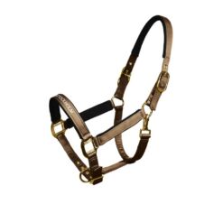 Equestrian Stockholm päitsed Line Champagne - Šampanja