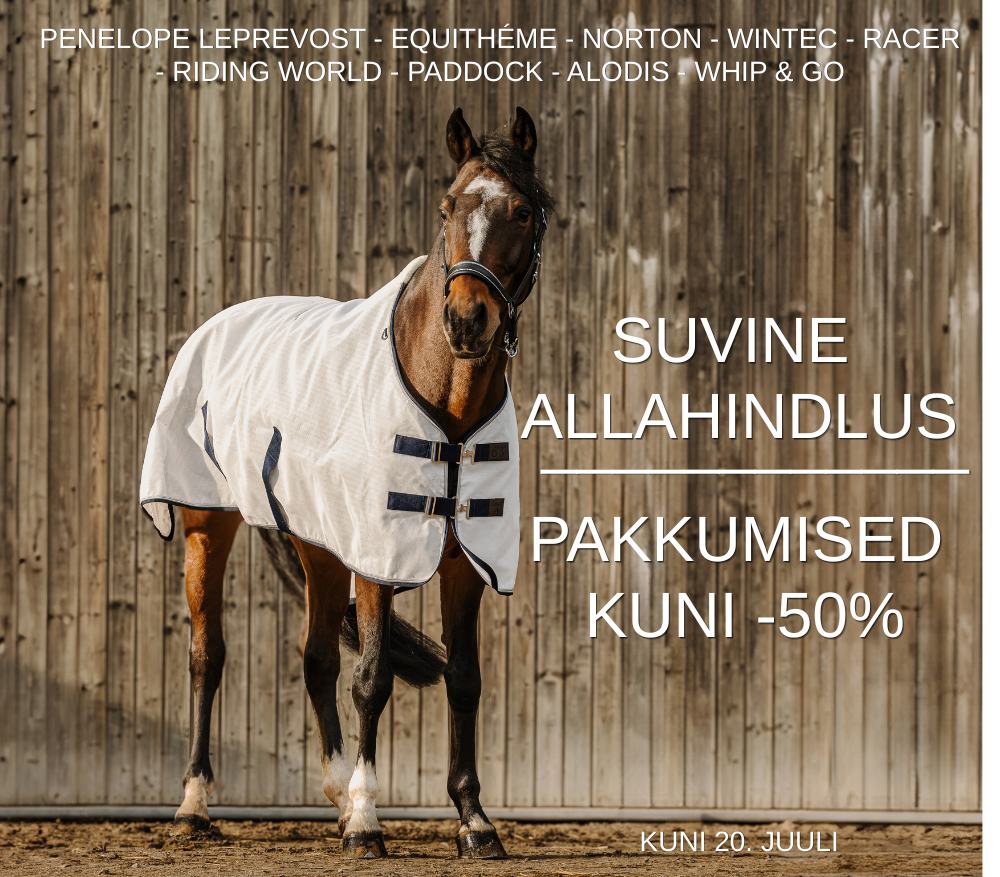 Esileht suvine allahindlus desktop banner 2