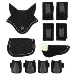 Pony Academy Mini-Poney varustuse komplekt Glitter