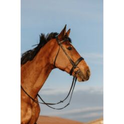 Riding World valjad Muserolle Wide