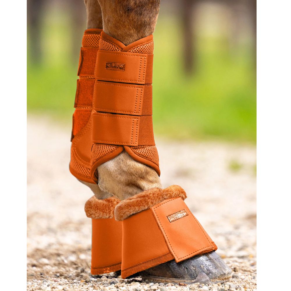 Equestrian Stockholm kalossid_kaitsmed Chestnut oranz