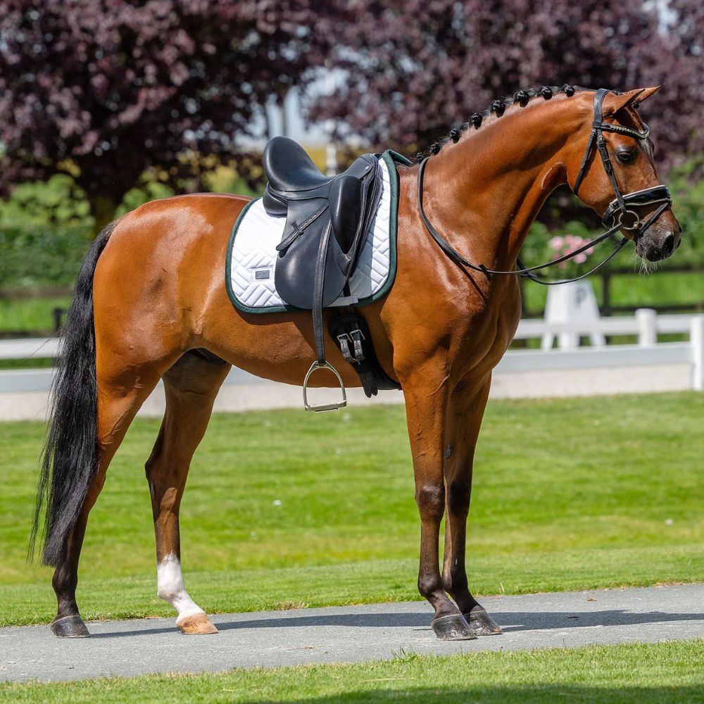 Equestrian Stockholm koolisõiduvaltrap Modern White Sycamore Green valge tumeroheline 7