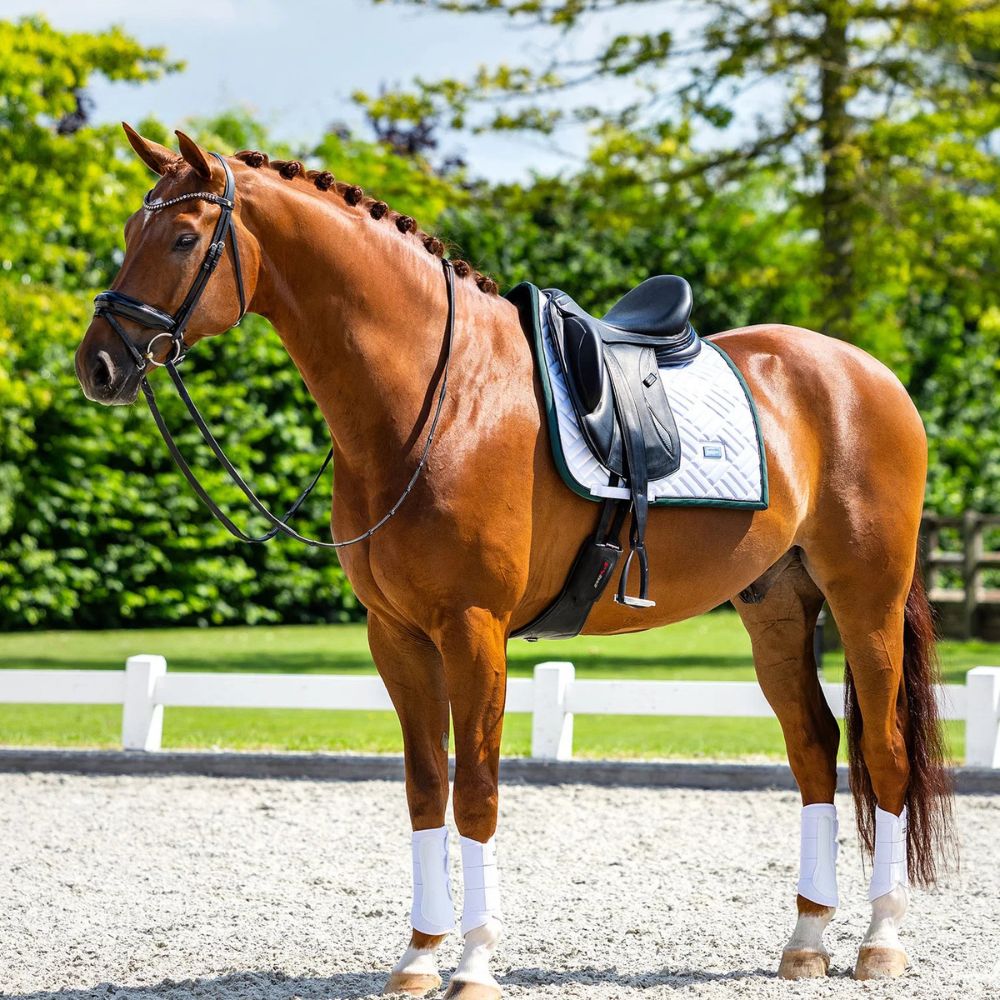 Equestrian Stockholm koolisõiduvaltrap Modern White Sycamore Green valge tumeroheline 8