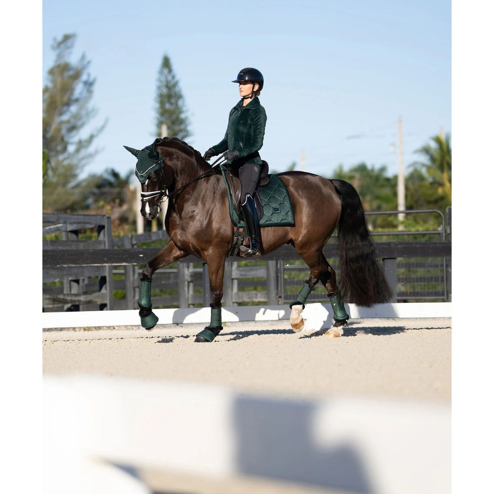 Equestrian Stockholm koolisõiduvaltrap Sycamore Green - Tumeroheline