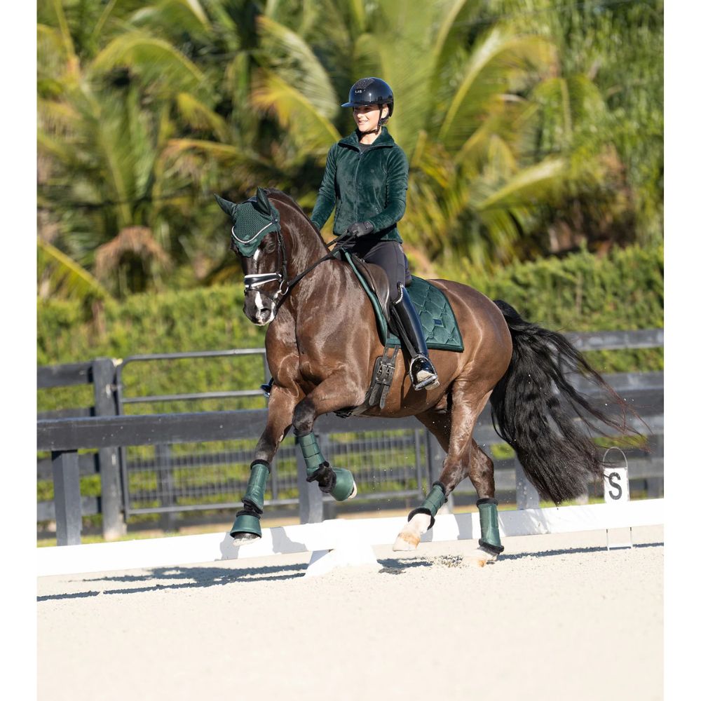 Equestrian Stockholm koolisõiduvaltrap Sycamore Green - Tumeroheline