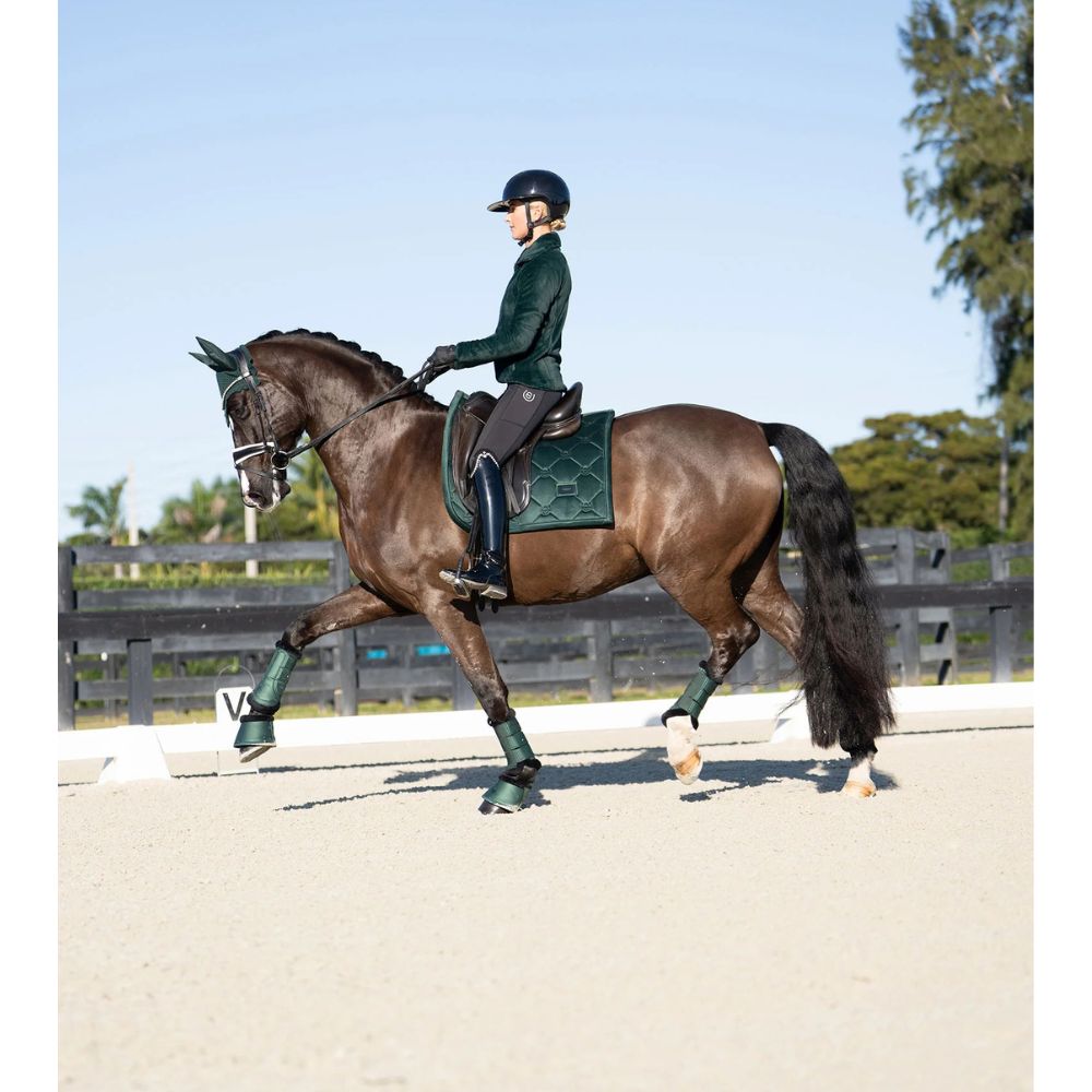Equestrian Stockholm koolisõiduvaltrap Sycamore Green - Tumeroheline