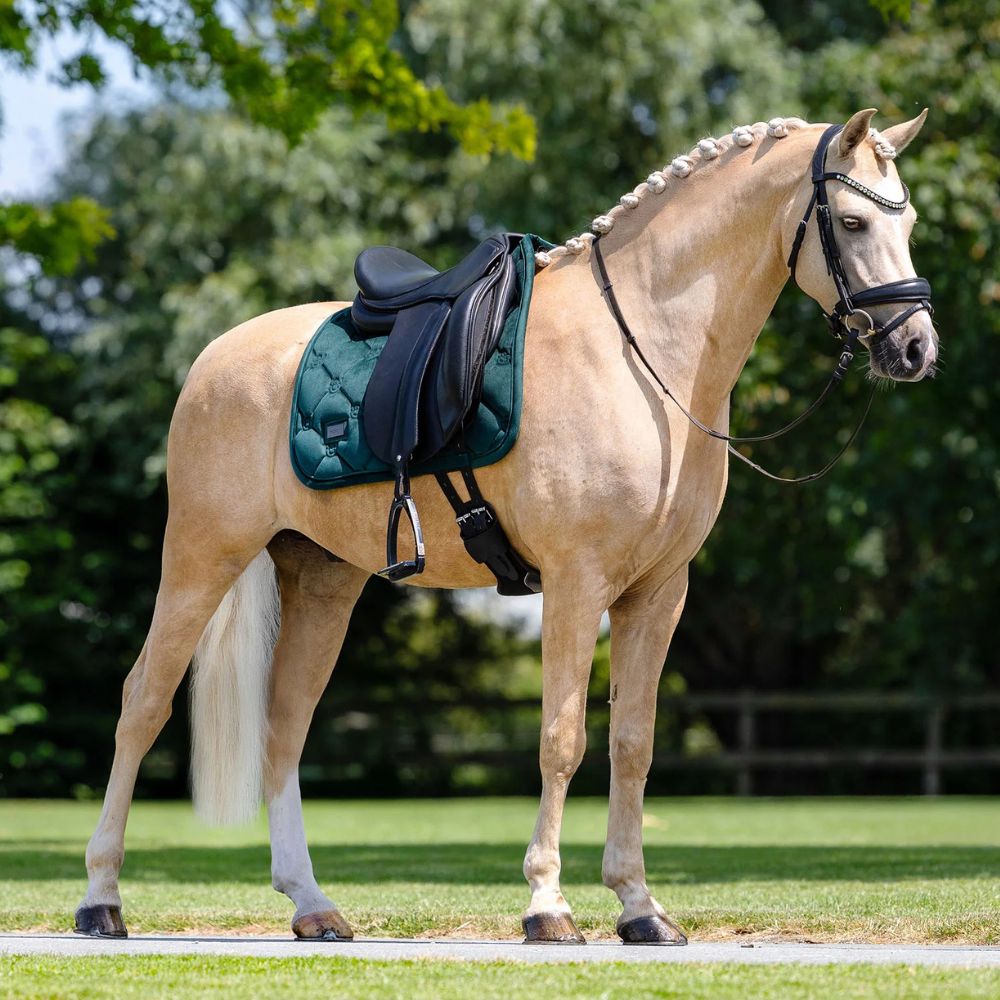 Equestrian Stockholm koolisõiduvaltrap Sycamore Green - Tumeroheline