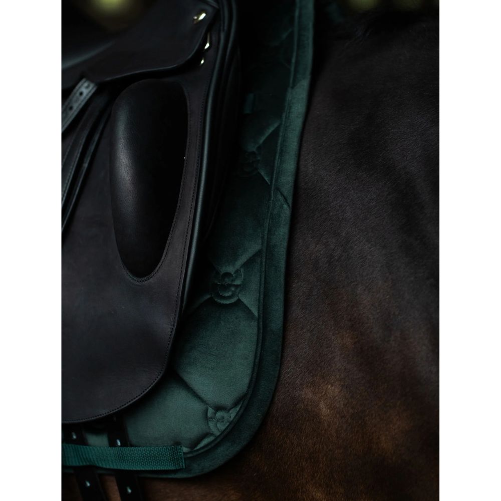 Equestrian Stockholm koolisõiduvaltrap Sycamore Green - Tumeroheline